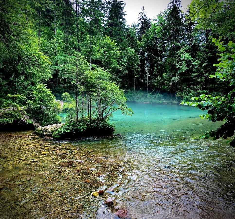 Skalca Kamniska Bistrica Exterior foto