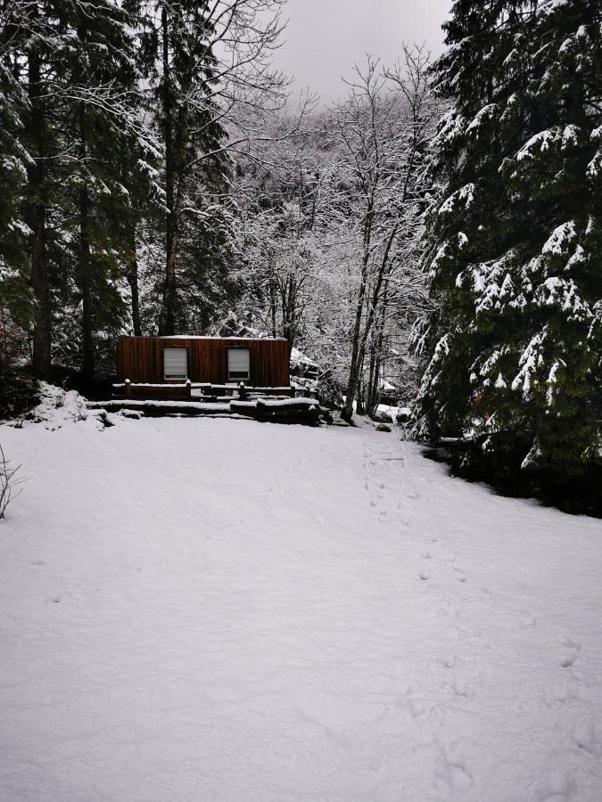 Skalca Kamniska Bistrica Exterior foto