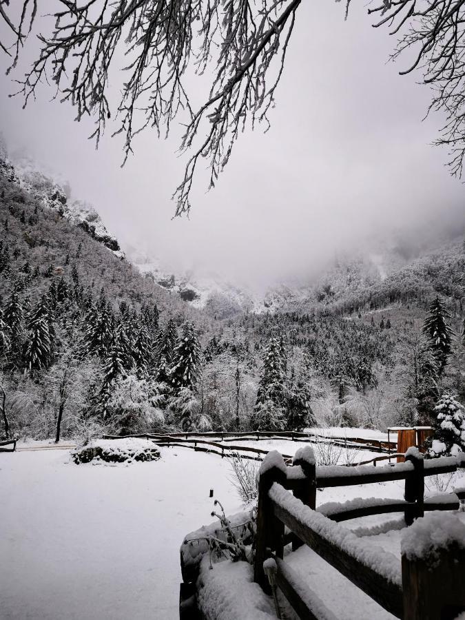 Skalca Kamniska Bistrica Exterior foto
